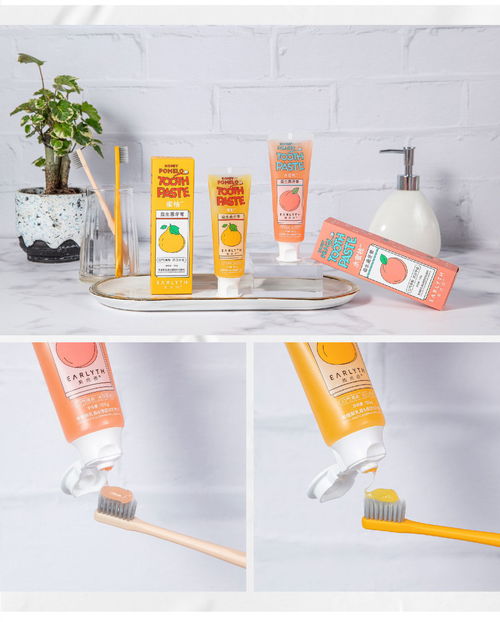 美术师益生菌马卡龙牙膏 一支兼顾美学、健康与全家的口腔护理新选