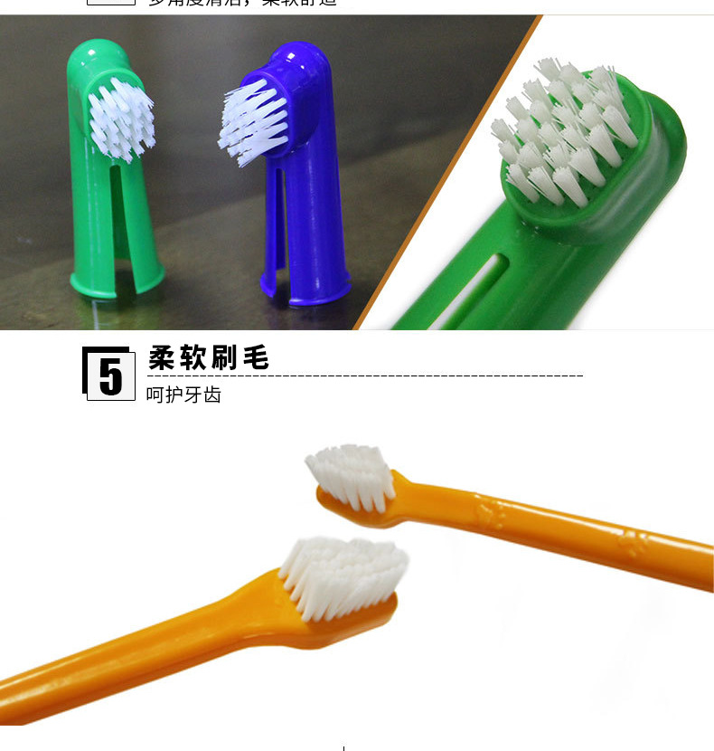 狗狗口腔健康四件套 全方位守护爱犬牙齿，从科学护理开始